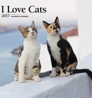 2017 Calendars for Cat Lovers