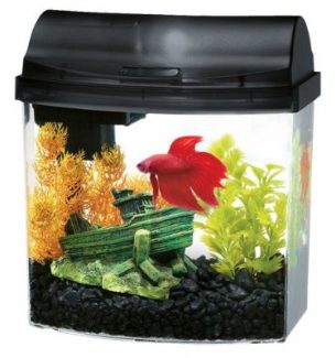 Fish Tanks for Kids and Adults