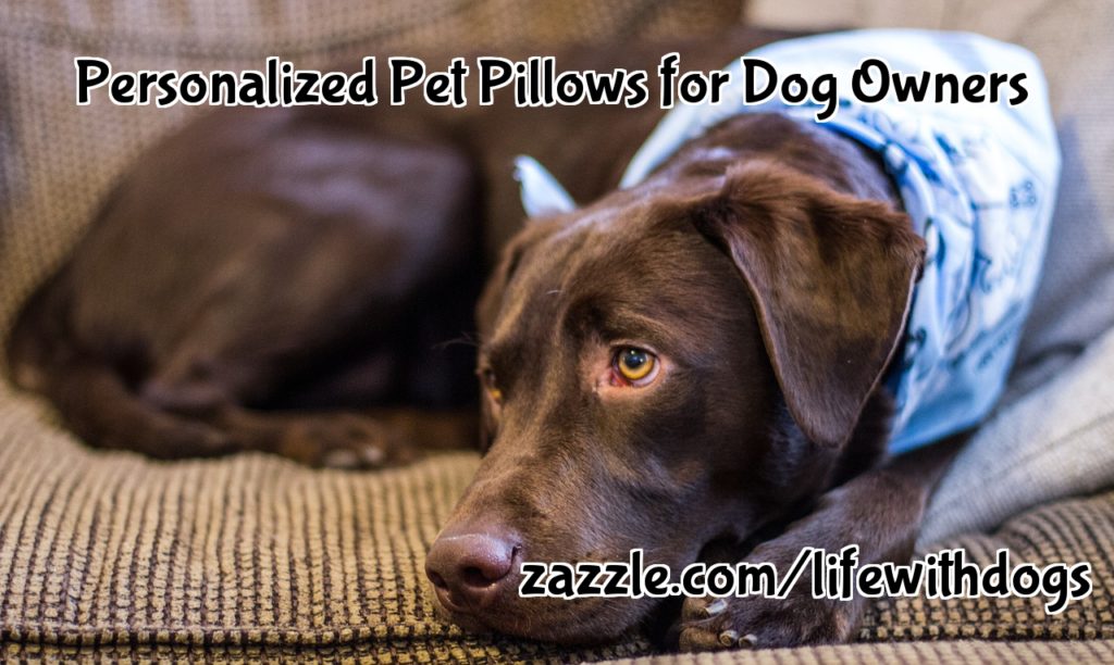 Personalized Pet Pillows for Dog Owners